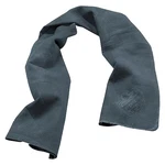 Ergodyne 6602 Evaporative Cooling Towel, Pva, Long Lasting Relief, 29.5. Fixed Price $8.19.