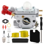 Carburetor For Troy Bilt 25CC TB2044XP TB430 TB225 Trimmer Oem Ruixing 753-06288. Fixed Price $24.99.