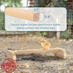 Petsfit Chick Roosting Bar, Wooden, Coop Perch. Fixed Price $27.99.
