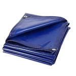 22 Mil Heavy Duty Tarp Pvc Canopy Uv Waterproof Camping Tent Car Cover Shade. Fixed Price $45.99.