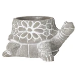 Sullivans Garden Pot Turtle Planter. Fixed Price $35.00.