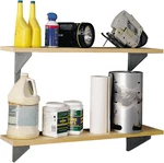 Arrow Shed SS404 Shelving System Kit,multi. Fixed Price $74.99.