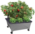 Emsco Group City Picker Raised Bed Grow Box Self Watering And Improved. Fixed Price $63.83.