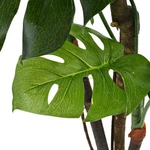 Artificial Plant With Pot Fake Decorative Monstera Indoor Green Vidaxl. Fixed Price $93.99.