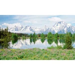 Biggies BG-WW-MFW-120 Window Well Scenes-mountain Flower, Wide X. Fixed Price $107.99.