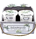 Buzzy Organic Herb Garden Countertop Grow Kit - Wooden Crate Windowsill Plants. Fixed Price $14.99.
