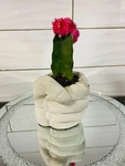 Cement Hand Fist Or Without Drainage, Gag Gift, Funny Pot, Planter. Fixed Price $30.00.