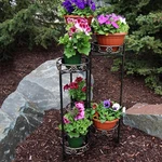 Bronze Steel 6-TIER Staggered Folding Plant Stand 45 By Sunnydaze. Fixed Price $79.67.