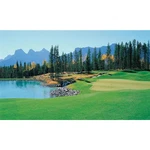 Biggies BG-WW-GLF-100 Window Well Scenes-golf, Wide X 60 High. Fixed Price $93.15.