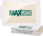 Catchmaster 72MAX Glue Board Mouse Insects Trap 36 Count Ap&g. Fixed Price $49.99.