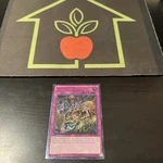 Ultimate Rare Traptrix Hole Nightmare AP06-EN003 Nm Astral Pack Yugioh. Fixed Price $79.99.