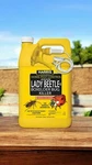 Harris Home Pest Control Insect Killer Liquid 1 Gal Box Elder Asian Lady Beetle. Fixed Price $48.99.