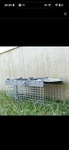 Havahart Small 1-DOOR Humane Live Catch And Release Animal Trap For Squirrels. Fixed Price $23.00.