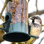 Bird Wild Classic Hanging Tube Feeders Premium Seed Hard Capacity Outside. Fixed Price $8.59.