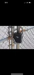 Ranger RGCS-0L Padlock GUARD,5 1/4IN,HARDENED Steel,blk 15X830. Fixed Price $99.97.