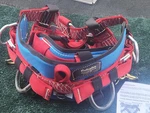Buckingham Elite Arbormaster Deluxe 1290-M Arborist Saddle Large 38"-42" Waist. Fixed Price $299.99.