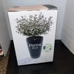 Parrot Pot Smart Phone Enabled Self - Watering Plant Brand New Box. Fixed Price $54.99.