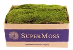 Supermoss (21508) Preserved Sheet Moss, Fresh Green, Pounds. Fixed Price $83.60.