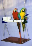 Macaw Parrot Perch Hanging Swing Gym Feeder Cups Bird Toy Playground. Fixed Price $169.99.