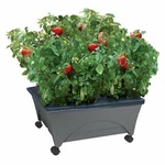 Emsco Group Raised Bed Grow Box, Self Wa. Fixed Price $41.00.