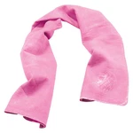 Ergodyne 6602 Evaporative Cooling Towel, Pva, Long Lasting Relief, 29.5. Fixed Price $8.39.