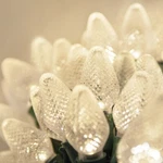 25 Led Christmas Set C7 Indoor Outdoor Home Holiday Party String. Fixed Price $25.99.