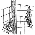 Luster Leaf 864 Rapiclip Vine And Veggie Trellis Net, Green. Fixed Price $11.84.