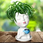 Face Flower Pot Head Planter For Indoor Outdoor, Unique Succulent. Fixed Price $25.63.