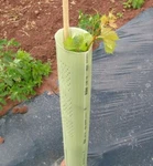 TC4 Pack Of 5 Tubex Tree Shelter Combitube Green Long Plastic. Fixed Price $64.12.