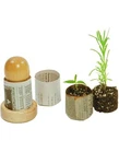Do-it-yourself From Newspaper For Planting Seed. Fixed Price $15.95.