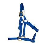 New Heartland Red Nylon+gold Buckle Large Value Horse Halter Gear. Fixed Price $19.99.