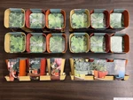 6 - 4PC Robert Allen Indoor Herb Garden Planter Sets. Fixed Price $39.90.