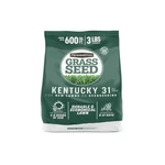 Pennington 100% Kentucky 31 Tall Fescue Penkoted Grass. Fixed Price $16.40.