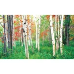 Biggies BG-WW-WDS-100 Window Well Scenes-woods, Wide X 60 High. Fixed Price $95.15.