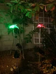 2 Set Dolphin Acrylic Solar Garden Yard Patio Stake Light Led Changing. Fixed Price $23.99.