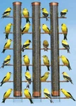 Finches Favorite Tube Nyjer Thistle Feeder Copper SE324C Feeds Birds. Fixed Price $54.95.