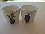 Scheurich Germany Ceramic Planter Set Air Plant, Cactus & Succulent Garden. Fixed Price $8.15.