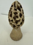 Vintage Concrete Cement Morel Mushroom Statue 9" Garden Yard Cor Weathered. Fixed Price $53.15.