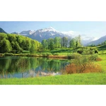 Biggies BG-WW-LKE-100 Window Well Scenes-lake, Wide X 60 High. Fixed Price $99.59.